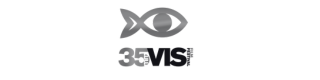 35mm Vis Film Festival logotype